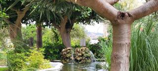 Laguna Beach - Coral Side - Torrox Costa - 5