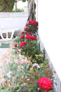 Apartments with a parking space Povljana, Pag - 6315 - Povljana - 3