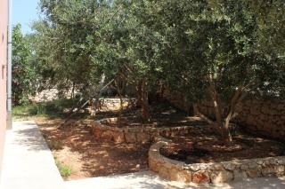 Apartments and rooms with parking space Novalja, Pag - 6341 - Novalja - 4