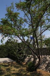 Apartments with a parking space Pag - 6327 - 4