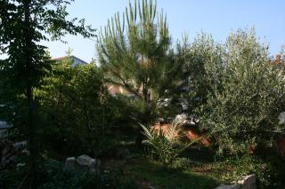 Apartments by the sea Mandre, Pag - 6416 - 3