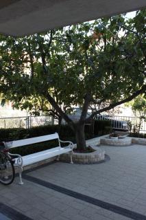 Apartments and rooms with parking space Vodice - 6260 - Vodice - 2