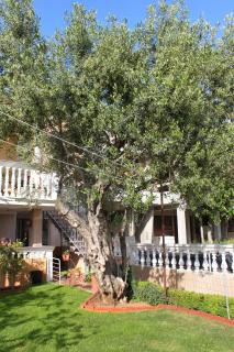 Apartments with parking spaces Vodice - 6271 - Vodice - 4