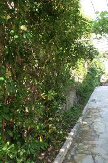 Apartments by the sea Pag - 6411 - 2