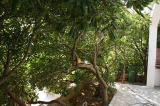 Apartments by the sea Pag - 6411 - 4