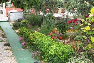 Apartments with parking space Vir - 6323 - Vir - 5