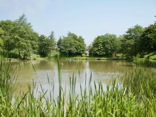 The Chestnuts Holiday Cottages - Burgh le Marsh - 0