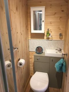 Stunning railway carriage with private hot tub - Hereford - 2