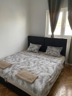 Apartmani Home - Zaječar - 3