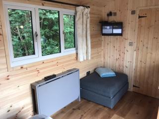 luxury railway carriage with stunning views - Hereford - 9
