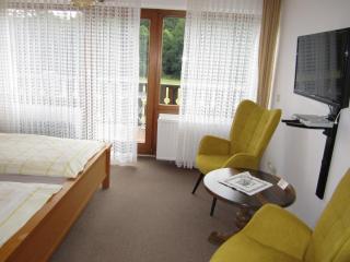 Pension-Gästehaus Waldhof - Winterberg - 7