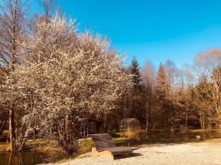 Fischerhaus - Burgthann - 3