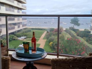 Superbe Vue mer T2bis Arcachon - Arcachon - 8