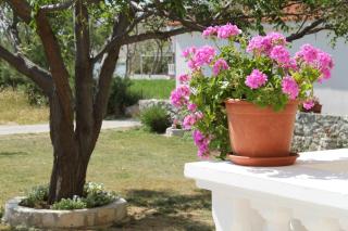 Apartments by the sea Vlasici, Pag - 6523 - Povljana - 2