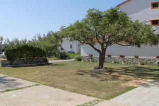 Apartments by the sea Vlasici, Pag - 6523 - Povljana - 1