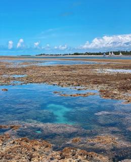 Flat Turkkana - Maracaípe - Porto de Galinhas - 7