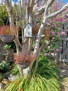 Beachhaven116 Lovely beachside house Lower Largo - 5