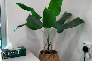 IRIS 55 Corner Lot House Malay Only With Wi-Fi - 2