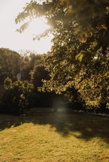 Posada La Casa de Lastras - 7