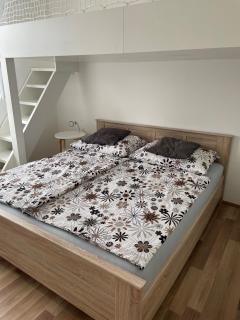 Apartmán Studnice na Vysočině - Nové Město na Moravě - 1