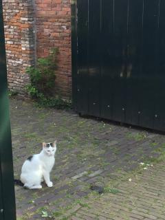 Genesis Voorschoten - Voorschoten - 9