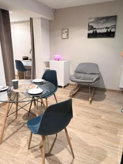 Studio Le Havre de Gentilly Nancy Laxou Zenith - Nancy - 3