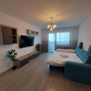 Turquoise apartment - Petroşani - 5