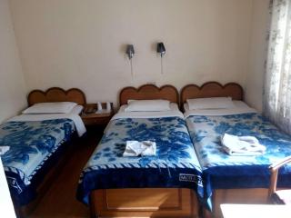 Green Tara Hotel - 5