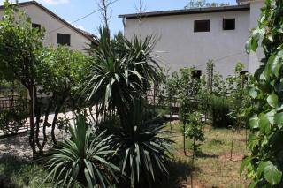 Apartment Starigrad 6431a - Starigrad-Paklenica - 2