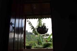 Caficultur -Alojamiento Rural - 3