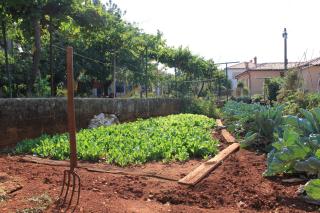 Apartment Umag 6992a - Umag - 2