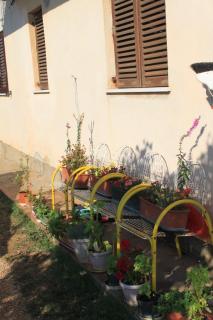 Apartments by the sea Sveti Ivan, Umag - 7002 - 5