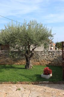 Apartments with a parking space Tar, Porec - 7026 - 3
