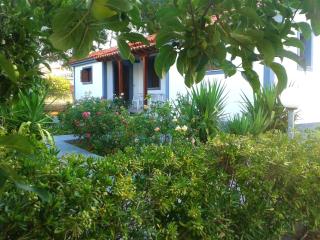 Vicky Studios and Apartments - Skala Kallonis - 7
