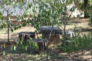 Apartment Fazana 7188d - 4