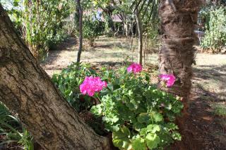 Apartment Fazana 7188d - 3