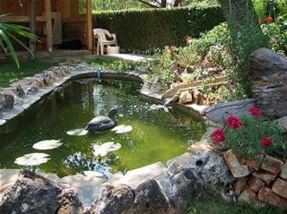 Apartments with a parking space Medulin - 7181 - 3