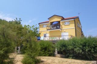 Family friendly seaside apartments Novigrad - 7118 - 9