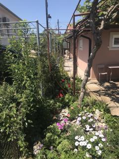 Apartments with a parking space Umag - 7126 - Umag - 4
