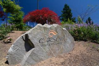 Carson Hot Springs Resort & Spa - Carson - 3