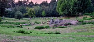Agroturystyka Stara Huta - Narol - 9