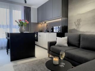 URBAN APARTMENTS PREMIUM, Opolska 10 No 69, Free Garage, Self Check-in - Katowice - 6