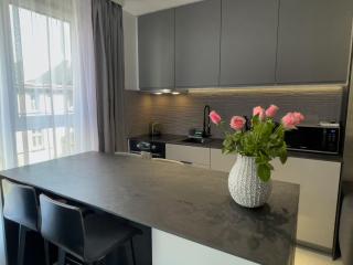 URBAN APARTMENTS PREMIUM, Opolska 10 No 69, Free Garage, Self Check-in - Katowice - 7