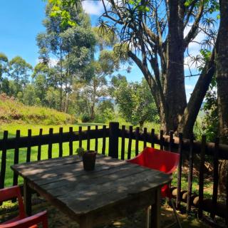 La Luna @ Misty Mountains - 4