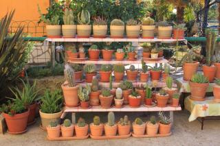 Apartments with a parking space Fazana - 7206 - 2