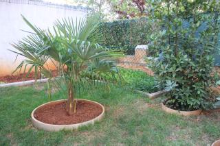 Apartments with a parking space Valbandon, Fazana - 7259 - 3