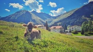 Appartement Egghof - Berwang - 5
