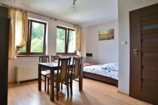 Villa Asturia - Rymanów-Zdrój - 5