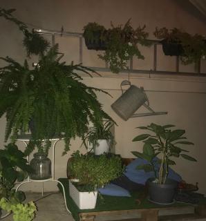 Cioccolatino. Il ritrovo degli artisti a Genova - 6