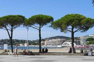 Un coin de paradis 2 ou 4 personnes refait à neuf - Sainte-Maxime - 5